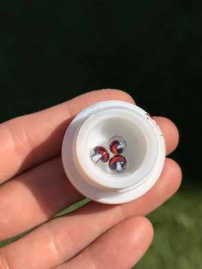 Steve H “Shroom” Terp Pearl