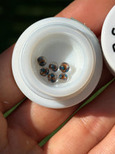 Load image into Gallery viewer, Steve H 4mm Zard Pearl