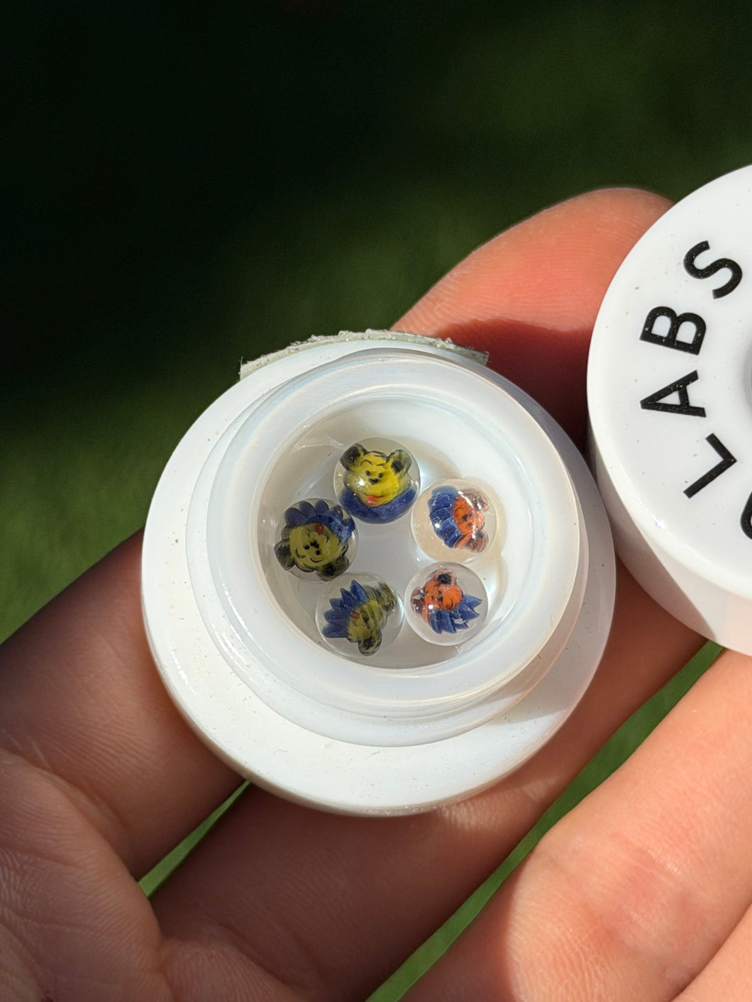 Ryan McCluer 6mm Dancing Bears Pearl