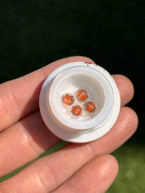 Steve H “Garfield” Terp Pearl