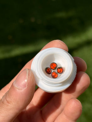Steve H “Peach” Terp Pearl