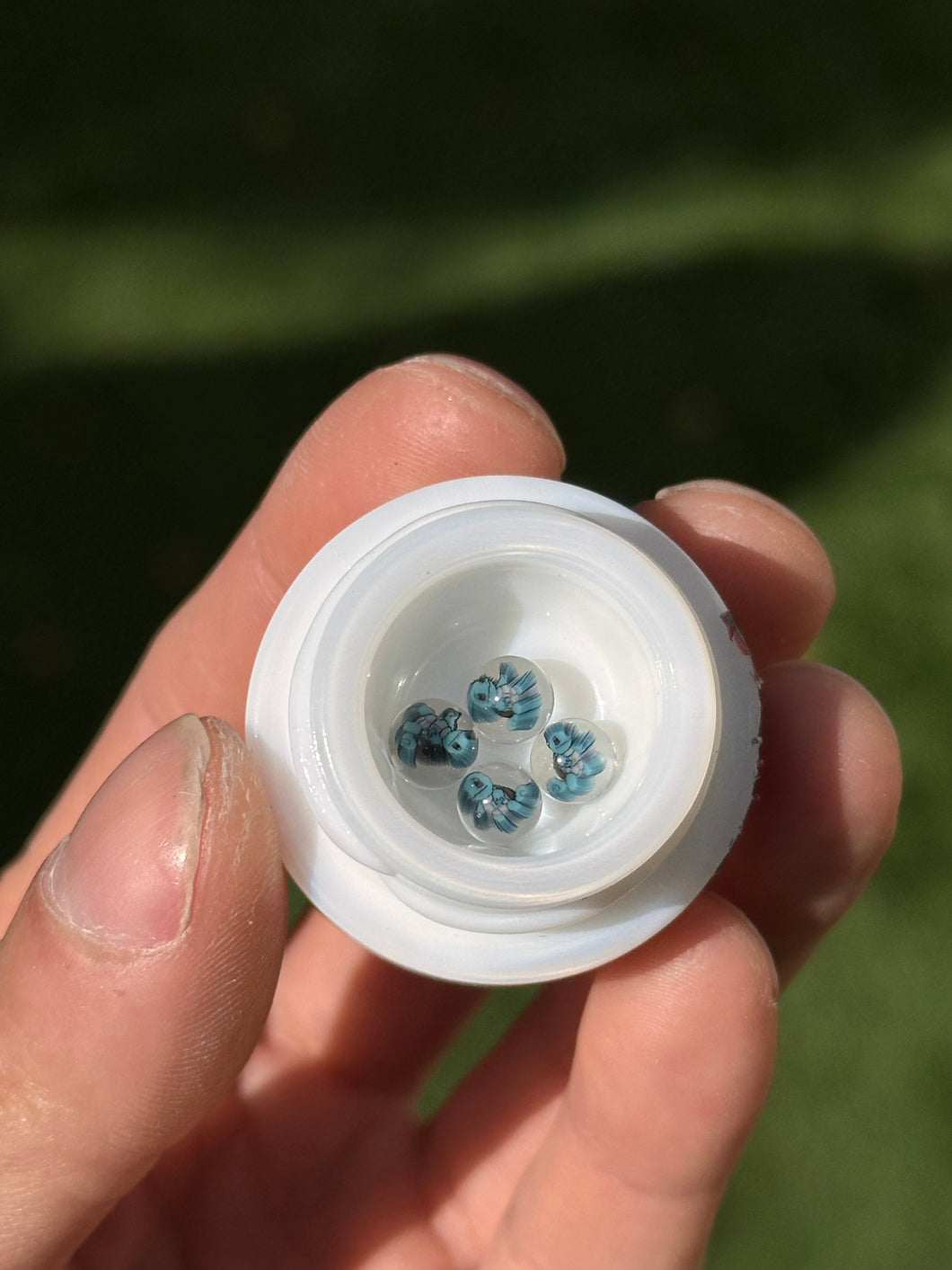 Steve H Terp Pearl