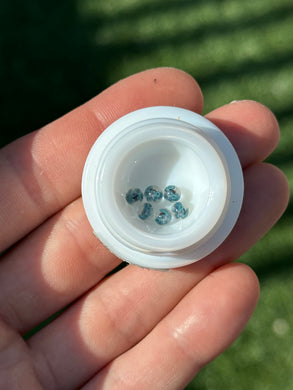 Steve H 4mm Squirtle Pearl