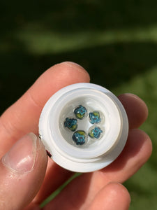 Steve H Terp Pearl