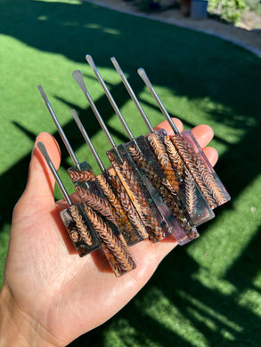 Pourcasso “Galaxy” Norfolk Island Pine Batch