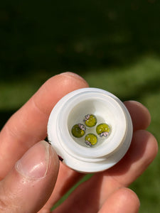 Steve H “Peyote” Terp Pearl
